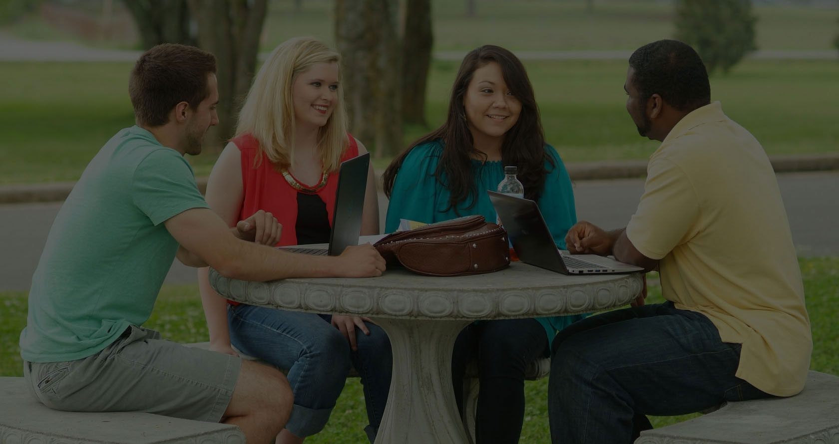 会员商城正版的手机号狂轰滥炸软件